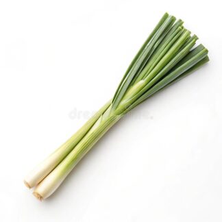 Lemon Grass (Thai Pata) -25gm